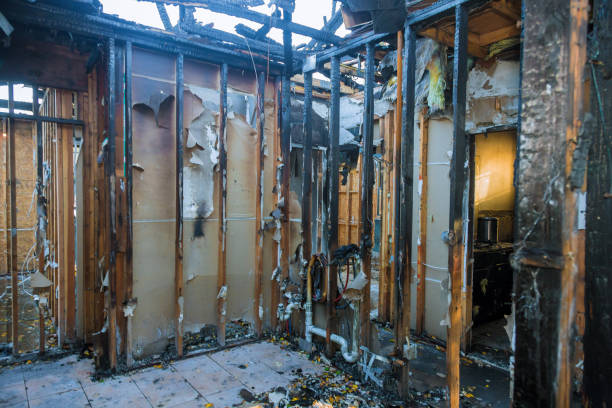 Professional Fire Damage Removal technician working in Harrison, OH